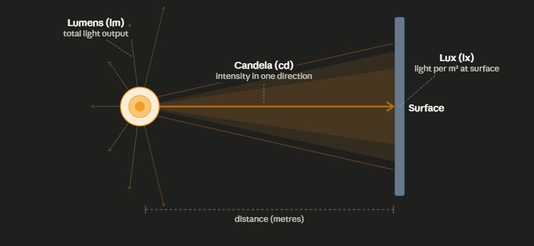 infographic difference lux, lumen and candela